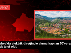Tavanl'da Elektrik Direine Konan Leylekler Akma Kaplarak Telef Oldu