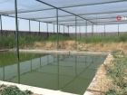 Tedavileri tamamlanan 3 leylek do�aya sal�nd�