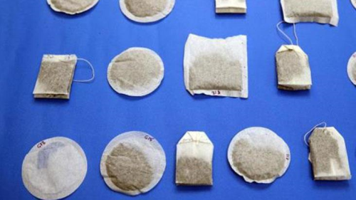 Tek bir poet ayda 13 bin mikroplastik parac tespit edilmiti! Cinsel organ boyunu ksaltyormu