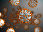 T�bbi teknoloji �irketinden SARS-CoV-2 testi a��klamas�