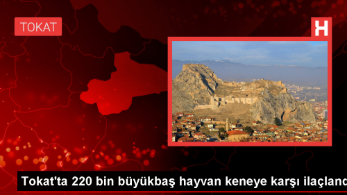 Tokat'ta 220 Bin Bykba Hayvan Keneye Kar laland