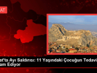Tokat'ta Ay� Sald�r�s� Sonucu Yaralanan �ocu�un Tedavisi Devam Ediyor