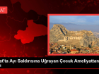 Tokat'ta Ay� Sald�r�s�na U�rayan �ocuk Hayati Tehlikeyi Atlatt�
