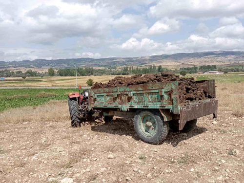 Tokat'ta traktr kazas: Vatanda yaraland