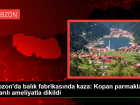 Trabzon'da bal�k fabrikas�nda eli giyotin makinesiyle kesilen gen� k�z�n parmaklar� ba�ar�l� bir ameliyatla dikildi