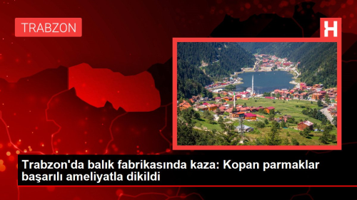 Trabzon'da balk fabrikasnda eli giyotin makinesiyle kesilen gen kzn parmaklar baarl bir ameliyatla dikildi