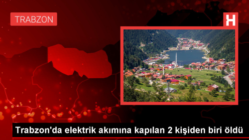 Trabzon'da Elektrik Akmna Kaplan 2 Kiiden Birisi Hayatn Kaybetti