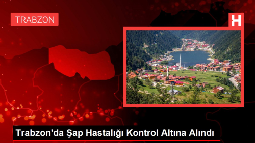 Trabzon'da ap Hastal Kontrol Altna Alnd