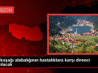 Trabzon Su �r�nleri Merkez Ara�t�rma Enstit�s�, G�kku�a�� Alabal���n�n Hastal�klara Direncini Geli�tirmek ��in Genetik �al��ma Y�r�t�yor