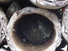 T�ketilen ballara dikkat, kimyasal madde i�erebilir
