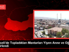 Tunceli'de Toplad�klar� Mantarlar� Yiyen Anne ve O�lu Zehirlendi