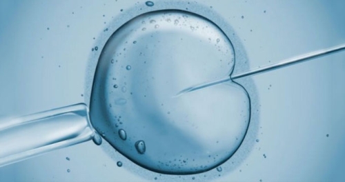 Tp Bebek Merkezi Kapatld, Embriyolarnn Peine Dt