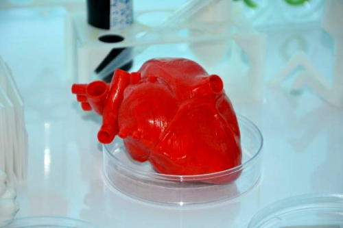 Trk bilim insanlar kk hcre ve 3D biyo-yazc ile 'kalp' retecek