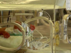 T�rkiye'de 10 bebekten 1'i premat�re do�uyor