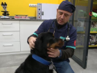 T�rkiye'de 13 milyon civar�nda kedi ve k�pek, 200'�n �zerinde bula��c� hastal�k var