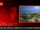 T�rkiye'de b�brek naklinin bu y�l artmas� bekleniyor