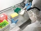 T�rkiye'de koronavir�s testi yapmak i�in yetkilendirilmi� laboratuvarlar�n listesi