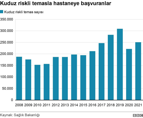 Trkiye'de kuduz vakalar: Risk artyor mu, istatistikler ne?