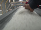 T�rkiye'de Tuz T�ketimi 3 Gram Azald�