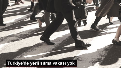 Trkiye'de yerli stma vakas yok