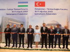 T�rkiye, T�rk D�nyas� Acil Medikal Kurtarma Birimi'ni kuruyor