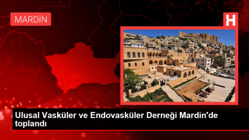Ulusal Vaskler ve Endovaskler Dernei Mardin'de topland