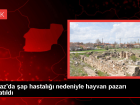 U�ak'�n Banaz il�esinde hayvan pazar� �ap hastal��� nedeniyle kapat�ld�