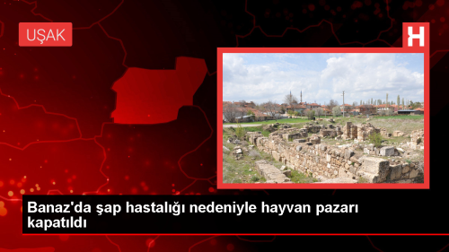 Uak'n Banaz ilesinde hayvan pazar ap hastal nedeniyle kapatld