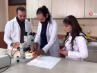 Uzman uyard�: 'Sar�k�z' b�ce�ine dikkat
