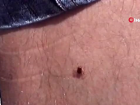 Uzman�ndan K�r�m Kongo uyar�s�