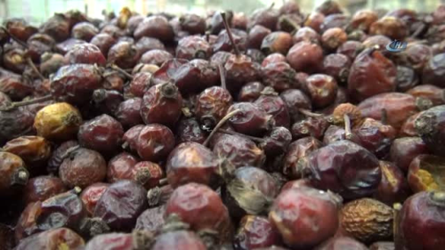 yüksek tansiyon için kuşburnu içebilirsin kalsiyum-magnezyum hipertoni