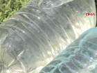 Uzmanlar, g�ne� alt�nda b�rak�lan plastik su �i�eleri ve damacanalar konusunda uyar�da bulunuyor