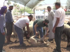 Uzmanlardan kurbanl�k uyar�s�: 