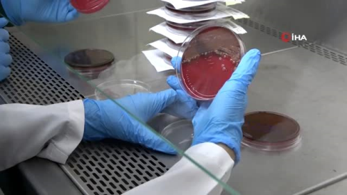 Uzun sre kullanlan maskedeki bakteriler laboratuvarda gzler nne serildi