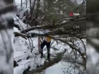 112 ekibinin yola devrilen a�a�la m�cadelesi