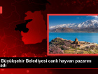 Van B�y�k�ehir Belediyesi Canl� Hayvan Pazar�nda Temizlik Yapt�