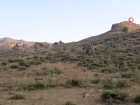 Van'da hamile kad�n Skorsky helikopterle hastaneye ula�t�r�ld�
