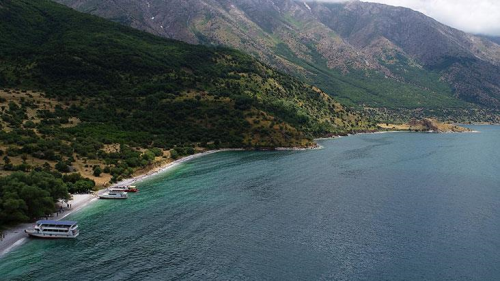 Van Gl'nn koronavirsn oalmasn engelledii tespit edildi