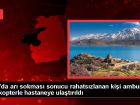 Van'�n G�rp�nar il�esinde ar� sokmas� sonucu v�cudunda alerji olan kad�n ambulans helikopterle hastaneye g�t�r�ld�