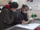 Veteriner Hekim �zge Alt�nay: 