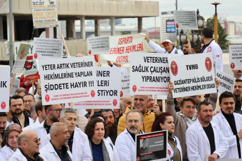 Veteriner Hekimler �� B�rakma Karar� Ald�