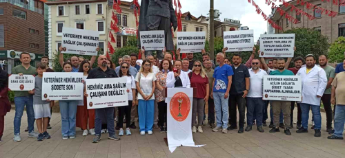 Veteriner Hekimler Salkta iddet Yasasna Dahil Edilmeli