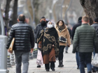 Yalova, vaka say�s� en �ok artan illerden oldu