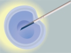 Yapay Sperm �retildi!