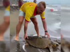 Yaral� Caretta caretta sahile vurdu