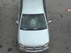 Yasaklar gelince Tokat ya�l�s�n� so�utmamak i�in ara�ta kahvalt� yapt�lar