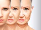 Ya�lanmayla �lgili H�cresel Saate �nce Ayar Yapan Bir Protein Ke�fedildi