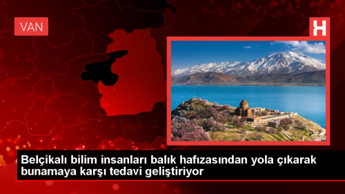 Yal Balklarn Beyin Yalanmasn Durdurmak in la Karm Kullanld