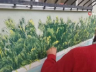 Yatarak tedavi g�ren hastalara sanat dallar�yla rehabilitasyon