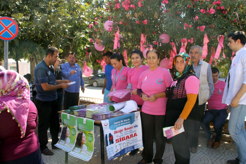 Yaylada'nda Gs Kanseri Bilgilendirme Stand Ald